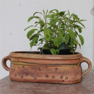 Kr&auml;utert&ouml;pfe